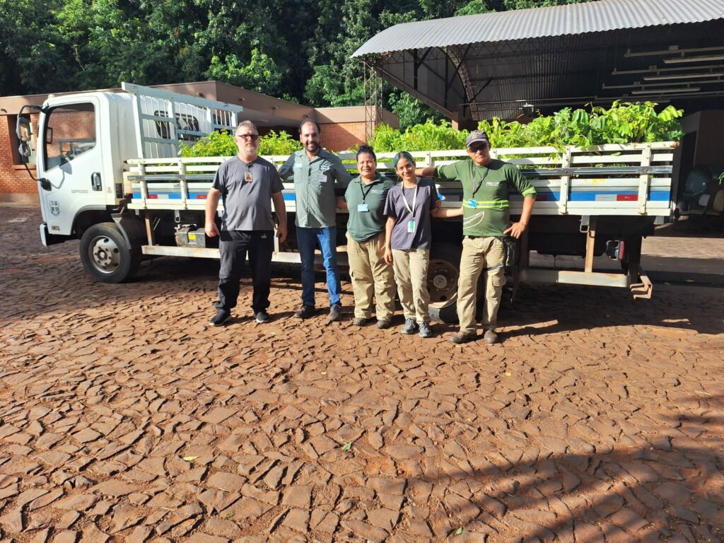 Mudas doadas pela Itaipu Binacional serão destinadas a ações de reflorestamento na Serra da Bodoquena