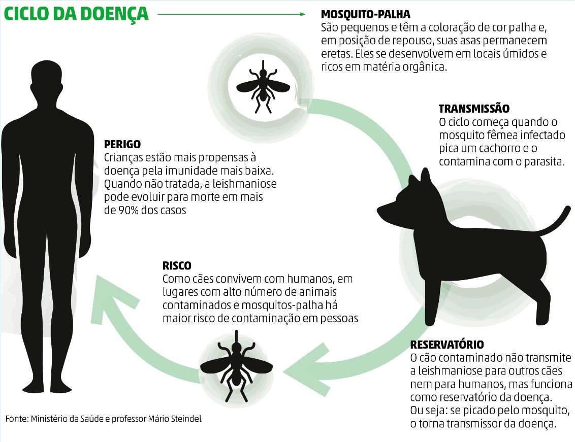 Saúde realiza o "Dia D" contra a Leishmaniose Visceral